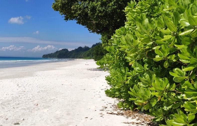 Visit Havelock Island (Swaraj Dweep)