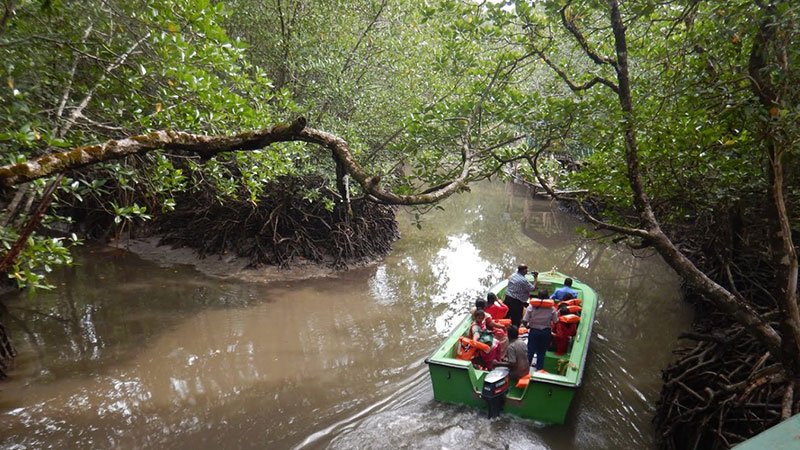 Baratang Island